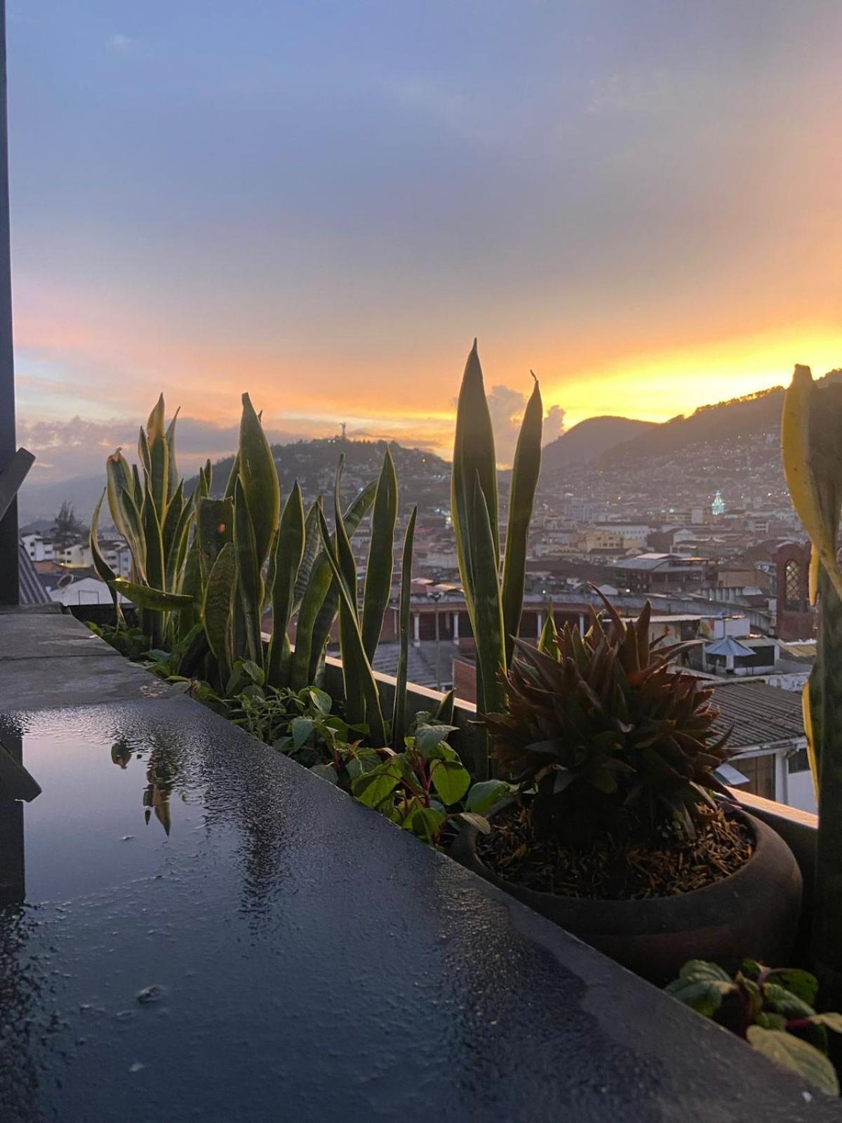 Hostal La Guayunga Rooftop Quito Eksteriør billede